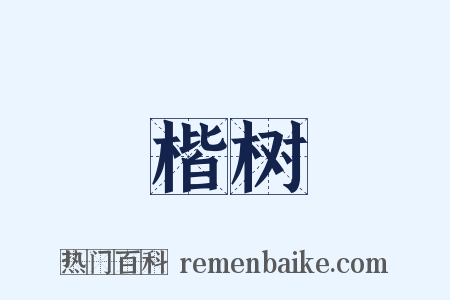 楷树是什么意思的图片
